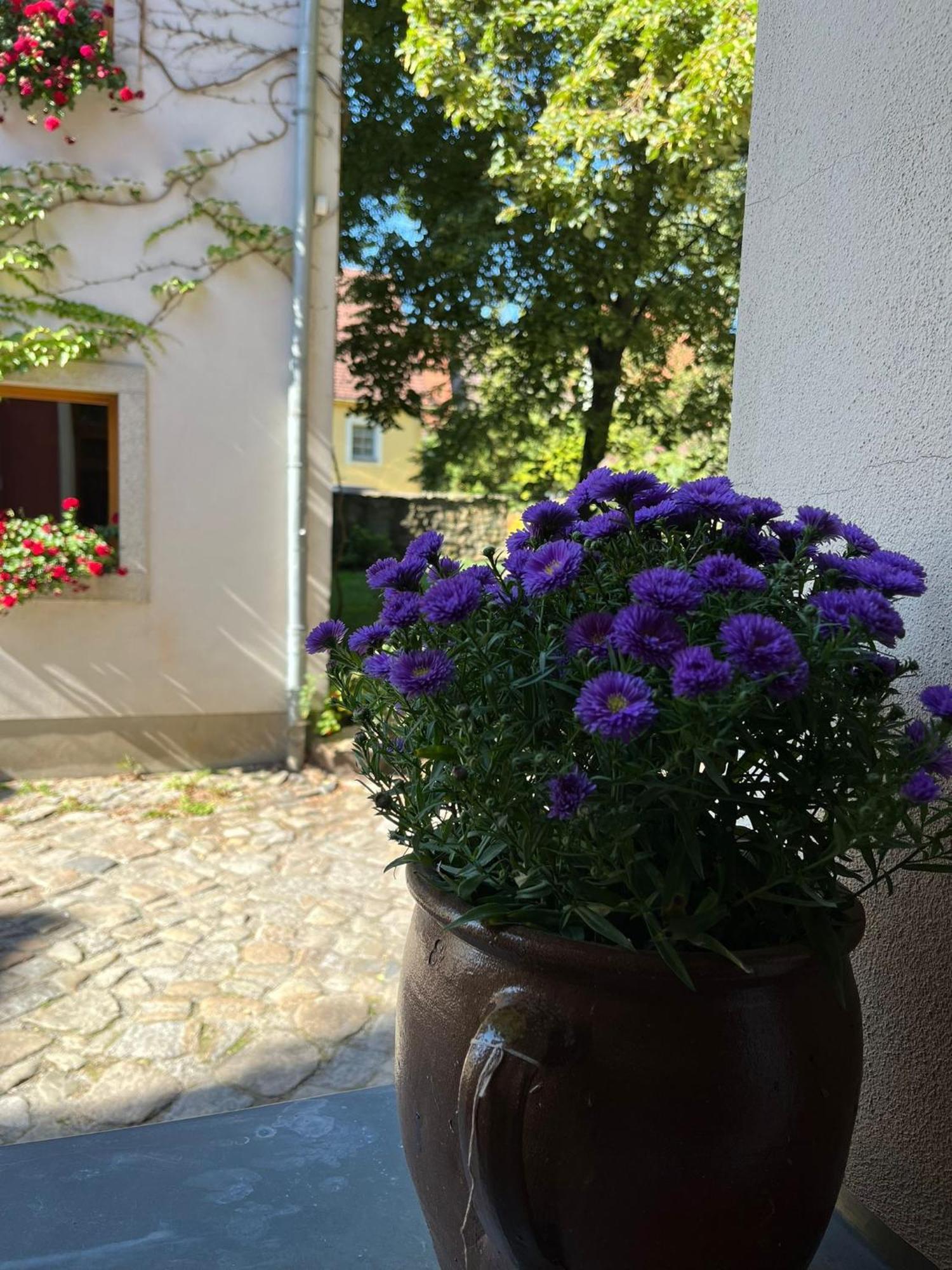 Appartement 5 Predigergasse 바우트젠 외부 사진