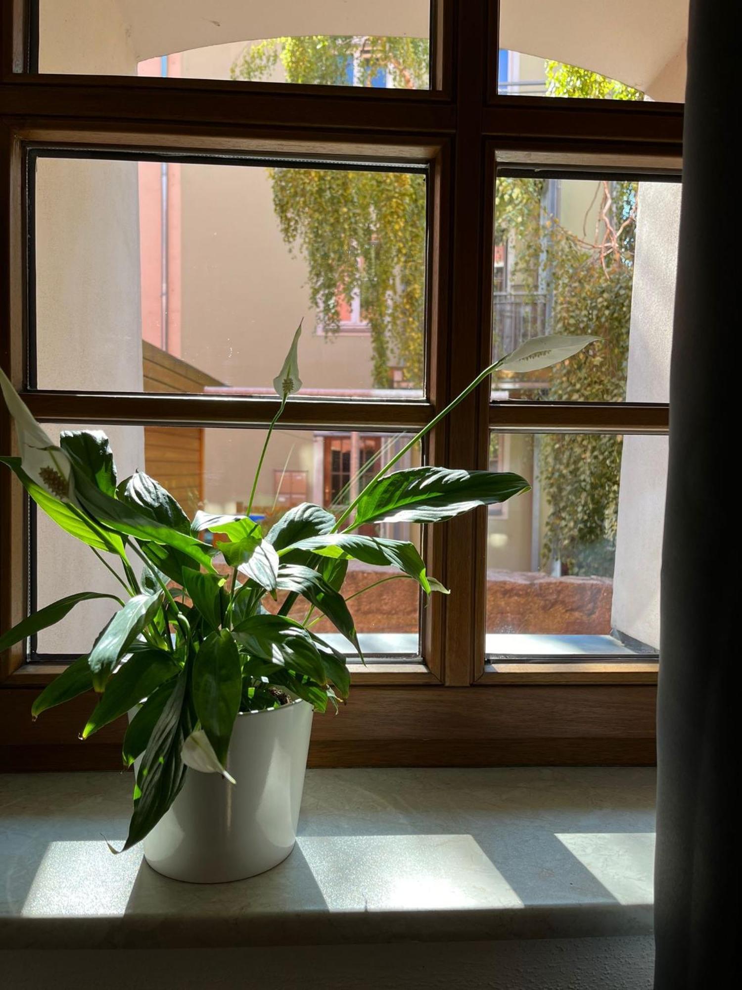 Appartement 5 Predigergasse 바우트젠 외부 사진